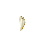 Pegasus Necklace