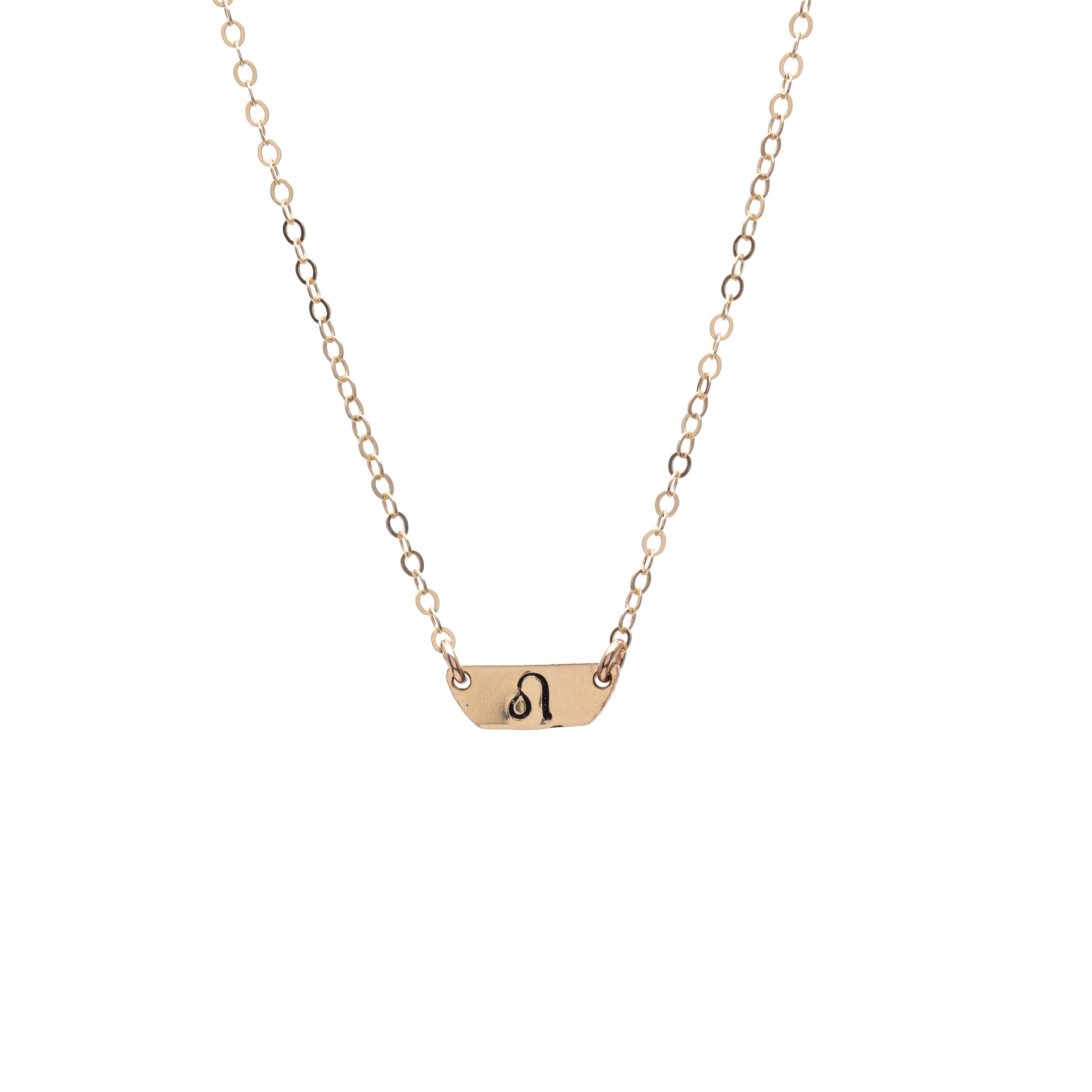 Zodiac Tiny Plate Necklace
