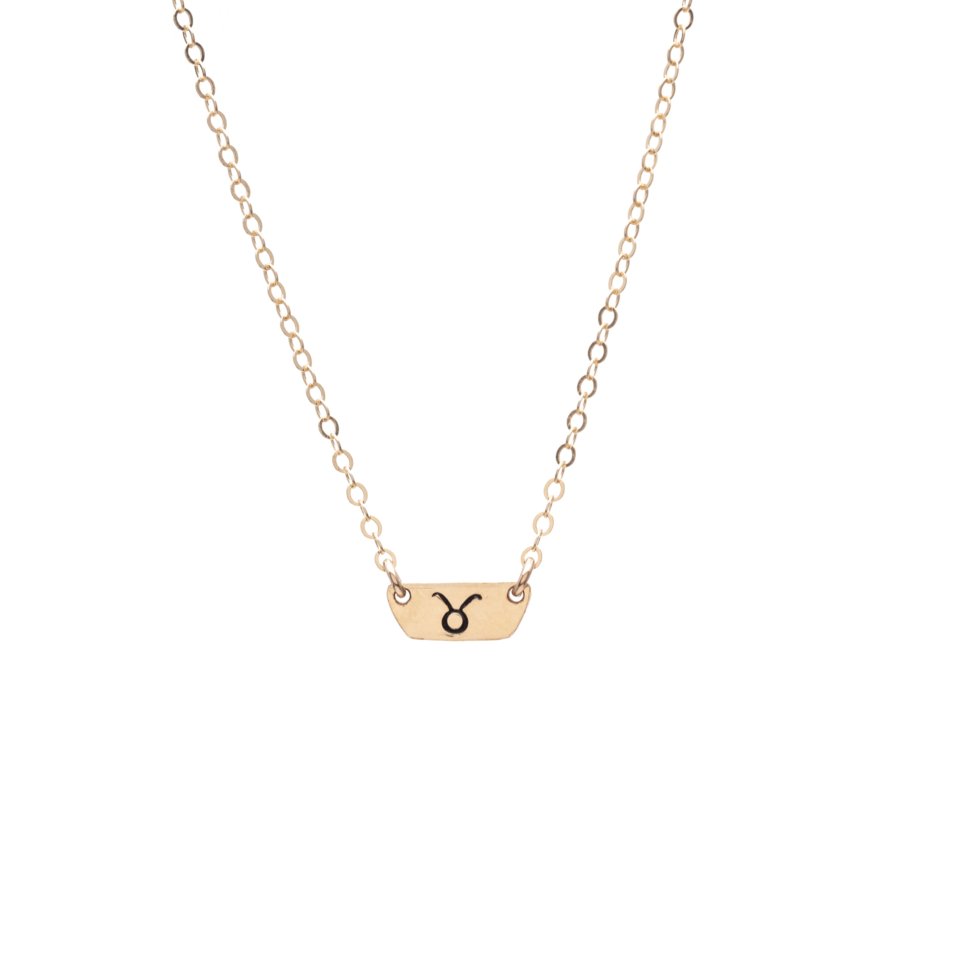 Zodiac Tiny Plate Necklace
