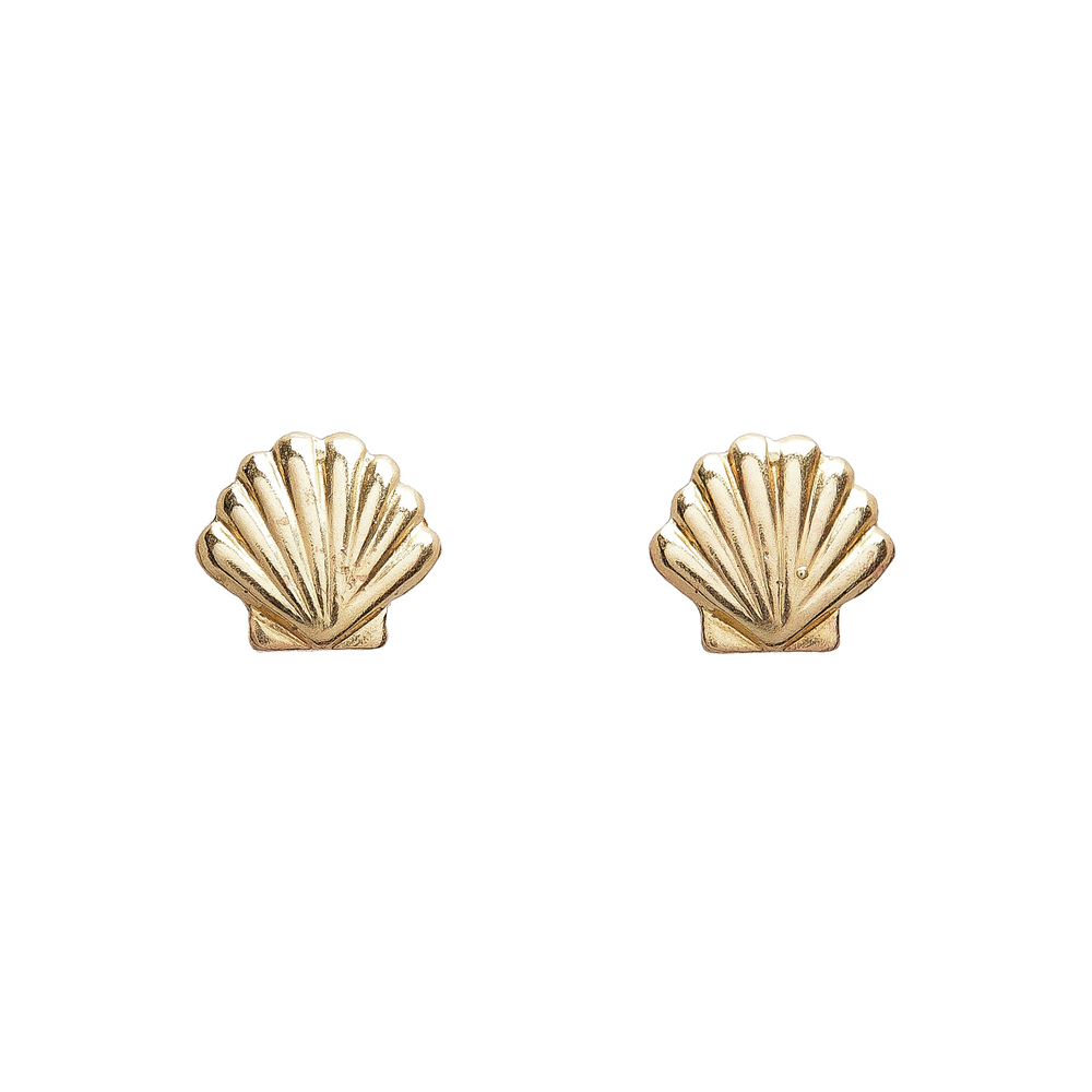 Seashell Stud Earrings